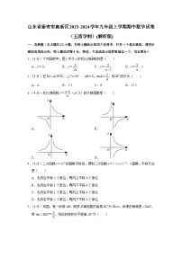 山东省泰安市高新区2023-2024学年九年级上学期期中数学试卷（五四学制）