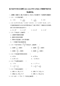 四川省泸州市龙马潭区2023-2024学年七年级上学期期中数学试卷