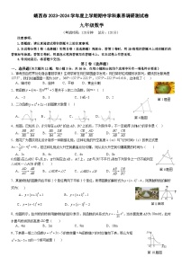 广西靖西市2023-2024学年上学期期中学科素养调研测九年级数学试卷