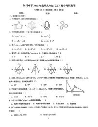 广东省肇庆市封开县封川中学2023-—2024学年九年级上学期11月期中数学试题