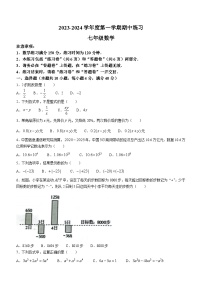 安徽省合肥市庐江县2023-2024学年七年级上学期期中数学试题