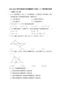 河南省许昌市魏都区2023-2024学年八年级上学期期中数学试卷