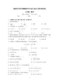 2023-2024-1湖南师大附中梅溪湖七上期中考试数学试卷