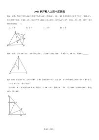 2023秋湖南师大梅溪湖中学八上期中考试数学压轴题集锦