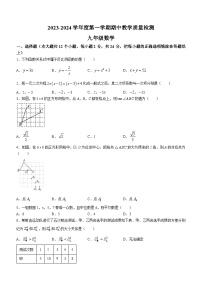 河北省石家庄市栾城区2023-2024学年九年级上学期期中数学试题