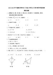 2023-2024学年福建省漳州市八年级上学期10月期中数学质量检测模拟试题（含解析）