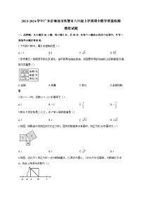 2023-2024学年广东省清远市英德市八年级上学期期中数学质量检测模拟试题（含解析）