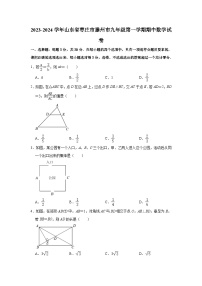 2023-2024学年山东省枣庄市滕州市九年级（上）期中数学试卷（含解析）