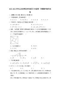 2023-2024学年山东省青岛市市南区八年级（上）期中数学试卷（含解析）