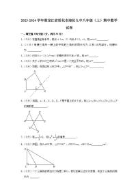 黑龙江省绥化市海伦市第九中学2023-2024学年八年级上学期期中数学试卷