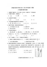 广东省深圳市罗湖外语学校初中部2023-2024学年八年级上学期11月期中数学试题