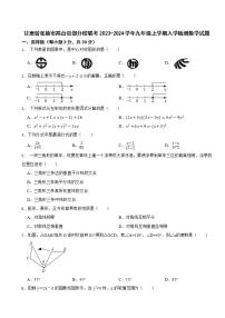 甘肃省张掖市高台县部分校联考2023-2024学年九年级上学期入学检测数学试题