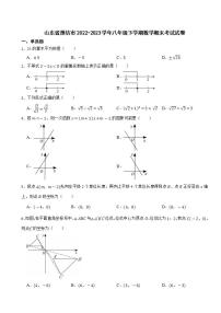 山东省潍坊市2022-2023学年八年级下学期数学期末考试试卷