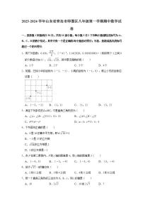 2023-2024学年山东省青岛市即墨区八年级（上）期中数学试卷（含解析）