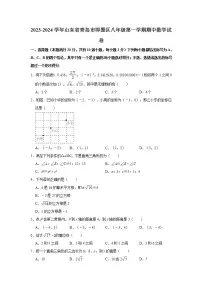 2023-2024学年山东省青岛市即墨区八年级（上）期中数学试卷（含解析）