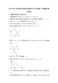 2023-2024学年黑龙江省绥化市海伦九中八年级（上）期中数学试卷（含解析）