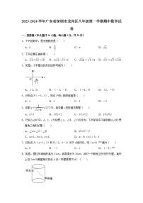 2023-2024学年广东省深圳市龙岗区八年级（上）期中数学试卷（含解析）