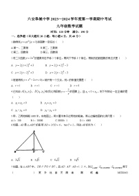 安徽省六安皋城中学2023-2024学年九年级上学期期中数学试题(无答案)