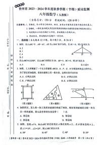 贵州省遵义市2023-2024学年八年级上学期11月期中数学试题