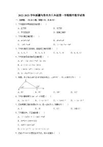 新疆乌鲁木齐2022—2023学年上学期八年级期中数学试卷