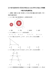 辽宁省大连市沙河口区部分学校2023-2024学年九年级上学期期中数学试卷