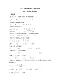 初中数学湘教版八年级上册3.3 实数精品同步测试题