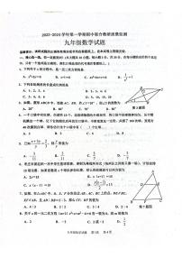 山东省枣庄市市中区2023-2024学年九年级上学期11月期中数学试题