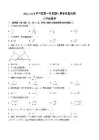 河北省石家庄市栾城区2023-2024学年八年级上学期期中数学试题