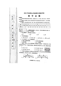 河南省南阳市淅川县2023-2024学年九年级上学期11月期中数学试题