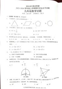 湖北省初中教改联盟2023-2024学年九年级上学期数学期中 试卷