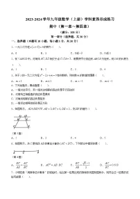 广东省深圳市龙岗区宏扬学校2023-2024学年九年级上学期期中数学试题