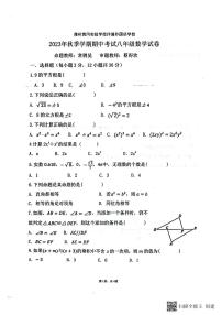 海南省儋州市2023-2024学年八年级上学期11月期中联考数学试题