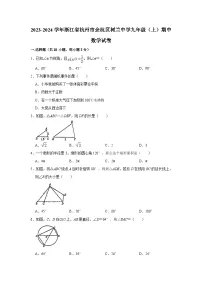 浙江省杭州市余杭区树兰中学2023-—2024学年上学期九年级期中数学试卷