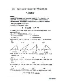 山东省临沂市2023-2024学年八年级上学期期中数学试卷