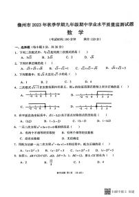 海南省儋州市联考2023-2024学年九年级上学期11月期中数学试题