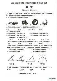 江苏省宿迁市泗阳县2023-—2024学年八年级上学期11月期中数学试题