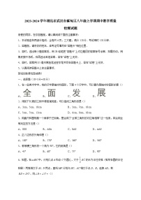 2023-2024学年湖北省武汉市蔡甸区八年级上学期期中数学质量检测试题