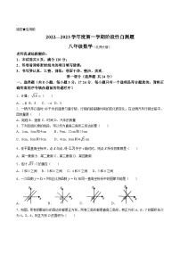 陕西省咸阳市兴平市2022-2023学年八年级上学期期中阶段性自测数学试卷(含答案)