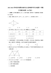 2023-2024学年贵州省黔东南州从江县宰便中学九年级（上）月考数学试卷（10月份）（含解析）