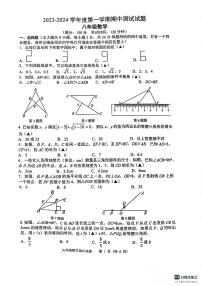 江苏省扬州市宝应县2023-2024学年八年级上学期11月期中数学试题