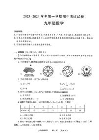 河南省濮阳市清丰县2023-2024学年九年级上学期11月期中数学试题