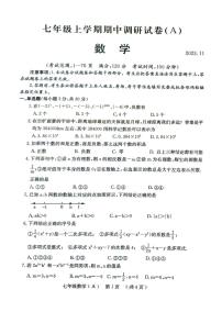 河南省安阳市滑县2023-2024学年七年级上学期11月期中数学试题