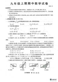 河南省新乡市辉县市2023-2024学年八年级上学期11月期中数学试题