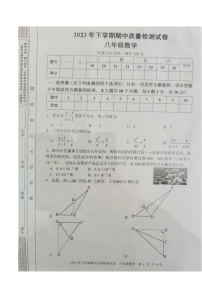 湖南省娄底市2023-2024学年八年级上学期11月期中数学试题