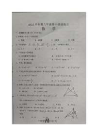 河南省南阳市南召县2023-2024学年八年级上学期11月期中数学试题