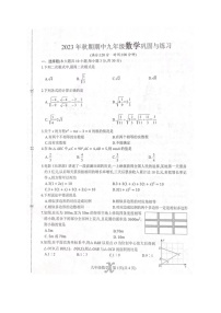 河南省南阳市内乡县2023-2024学年九年级上学期11月期中数学试题