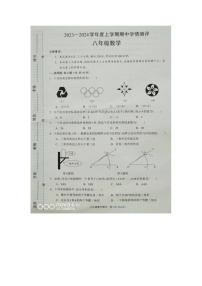 河南省驻马店市平舆县2023-2024学年八年级上学期11月期中数学试题