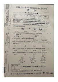 江西省赣州市大余县部分学校联考2023-2024学年八年级上学期11月期中数学试题