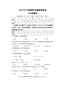 湖南省娄底市涟源市2023-2024学年七年级上学期11月期中数学试题