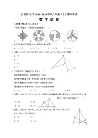 四川省自贡市第二十八中学校2023-2024学年八年级上学期期中考试数学试题